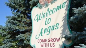 Welcome to Angus